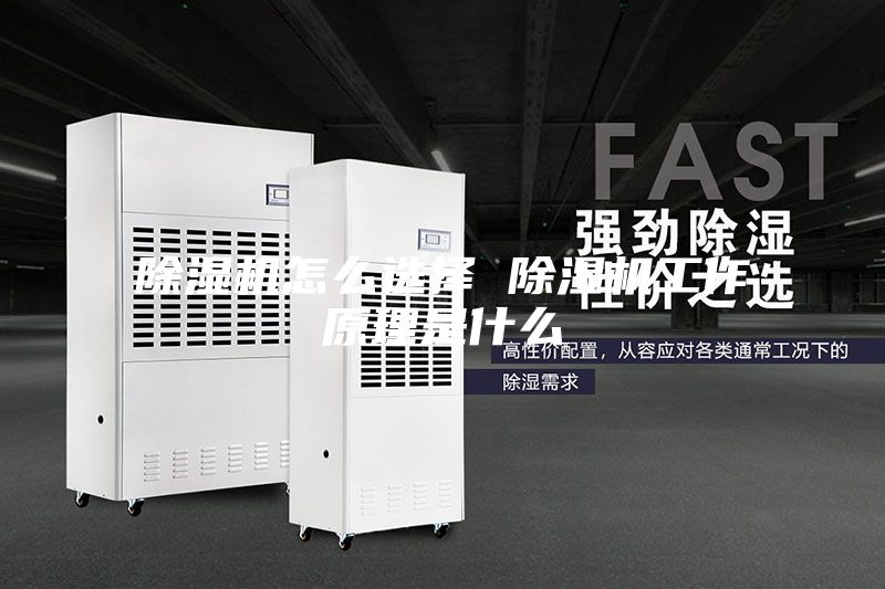 除濕機(jī)怎么選擇 除濕機(jī)工作原理是什么