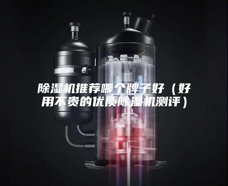 除濕機推薦哪個牌子好（好用不貴的優質除濕機測評）