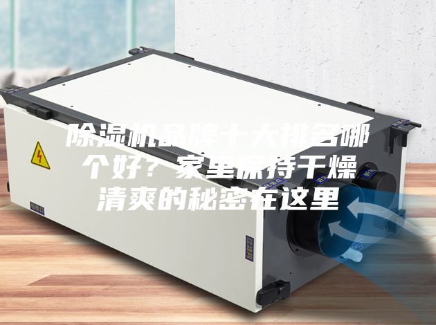 除濕機(jī)品牌十大排名哪個好？家里保持干燥清爽的秘密在這里