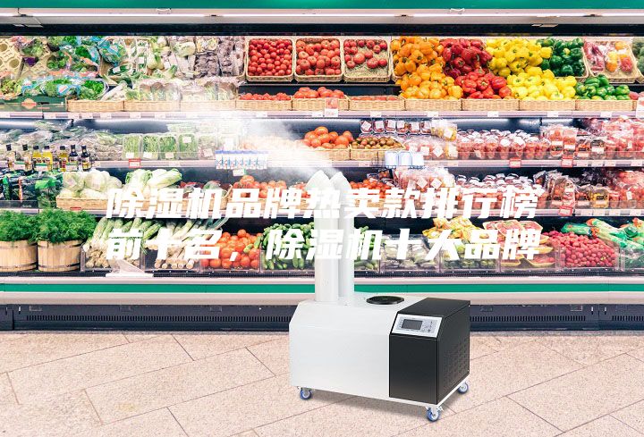除濕機品牌熱賣款排行榜前十名,除濕機十大品牌