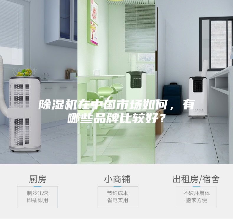 除濕機(jī)在中國市場如何,有哪些品牌比較好?