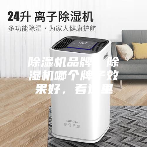 除濕機品牌,除濕機哪個牌子效果好,看這里