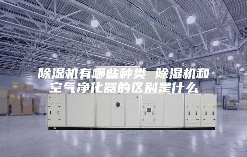 除濕機有哪些種類 除濕機和空氣凈化器的區別是什么
