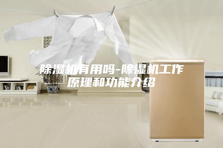 除濕機有用嗎-除濕機工作原理和功能介紹
