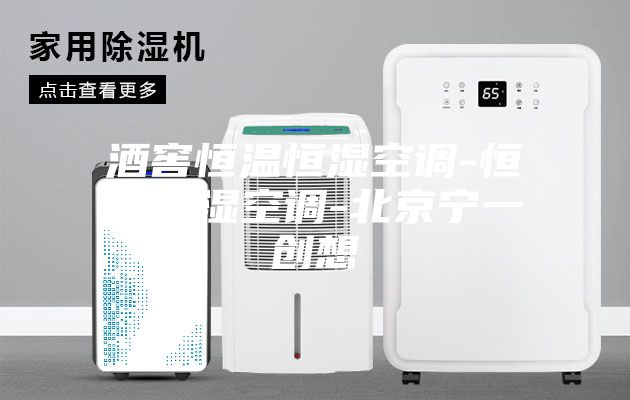 酒窖恒溫恒濕空調-恒溫恒濕空調-北京寧一創想