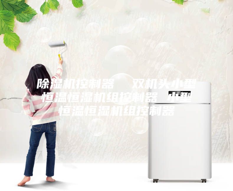 除濕機(jī)控制器 雙機(jī)頭小型恒溫恒濕機(jī)組控制器 小型恒溫恒濕機(jī)組控制器