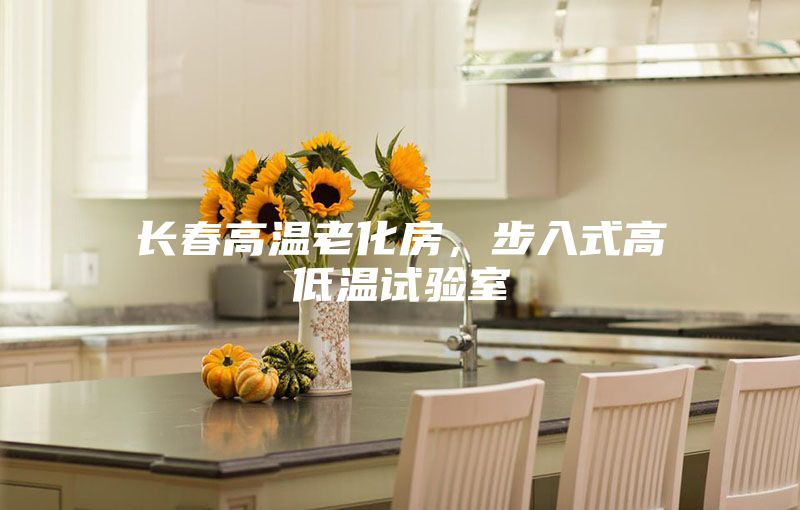 長春高溫老化房,步入式高低溫試驗室