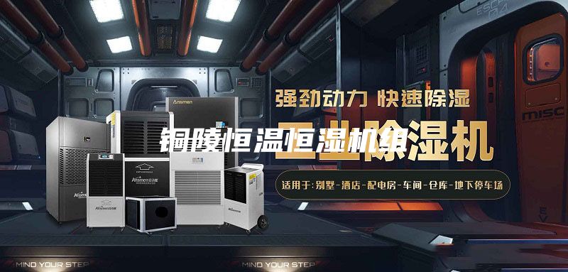 銅陵恒溫恒濕機組