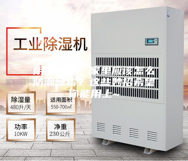 陰雨綿綿，家里應(yīng)該怎么防潮除霉？這些妙招希望你能用上~