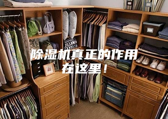 除濕機真正的作用在這里！