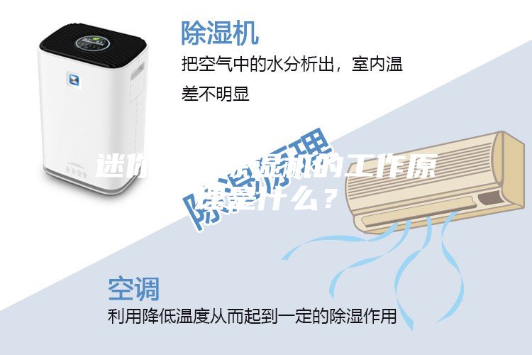 迷你家用除濕機的工作原理是什么?