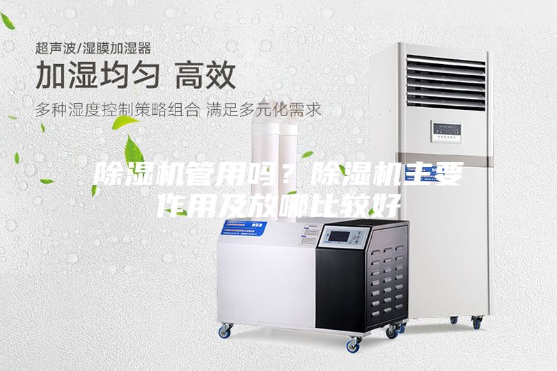 除濕機(jī)管用嗎？除濕機(jī)主要作用及放哪比較好
