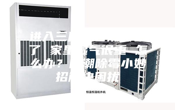 進(jìn)入三月“春潮”來了 家里濕氣很重 怎么辦？防潮除霉小妙招解決困擾