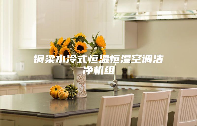 銅梁水冷式恒溫恒濕空調潔凈機組