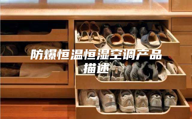 防爆恒溫恒濕空調產品描述