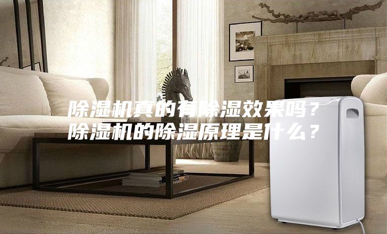 除濕機真的有除濕效果嗎？除濕機的除濕原理是什么？