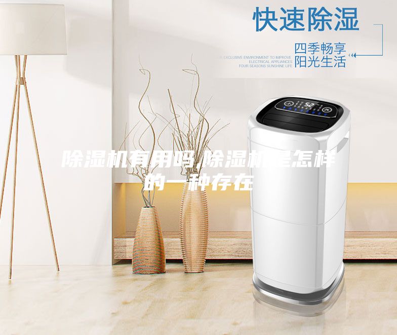 除濕機有用嗎,除濕機是怎樣的一種存在