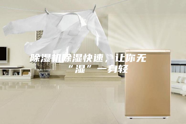 除濕機(jī)除濕快速,讓你無“濕”一身輕