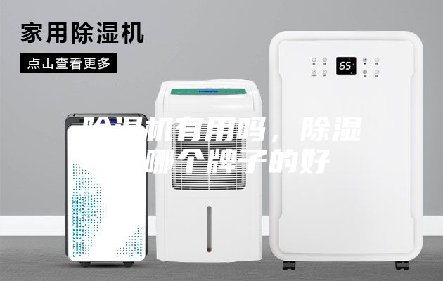 除濕機有用嗎，除濕機哪個牌子的好