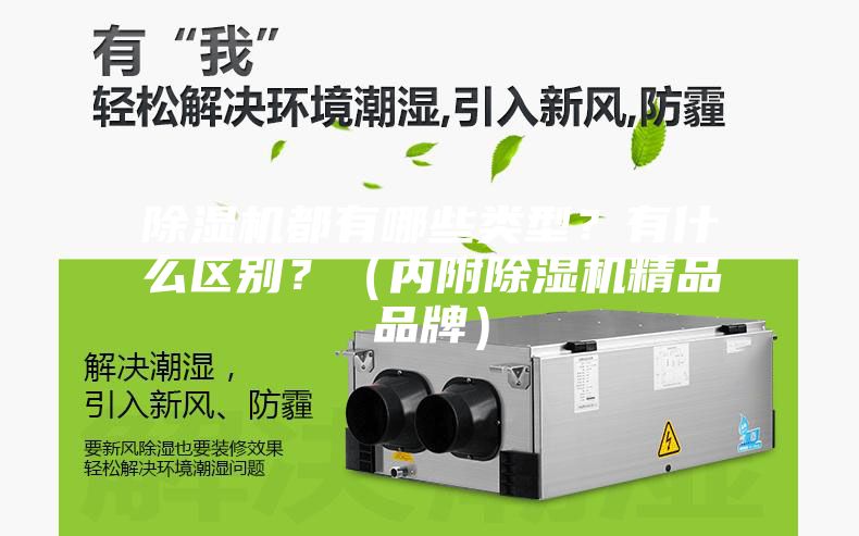 除濕機都有哪些類型?有什么區別?(內附除濕機精品品牌)