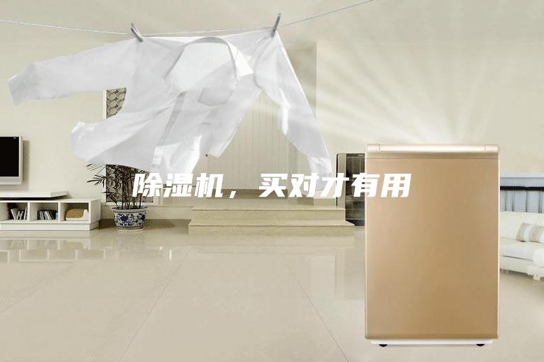 除濕機,買對才有用