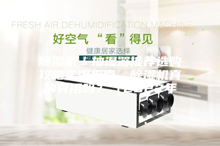 除濕機／抽濕器推薦選購攻略實用指南，除濕機真的有用嗎？（2022年