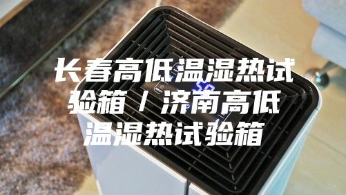長春高低溫濕熱試驗箱/濟南高低溫濕熱試驗箱