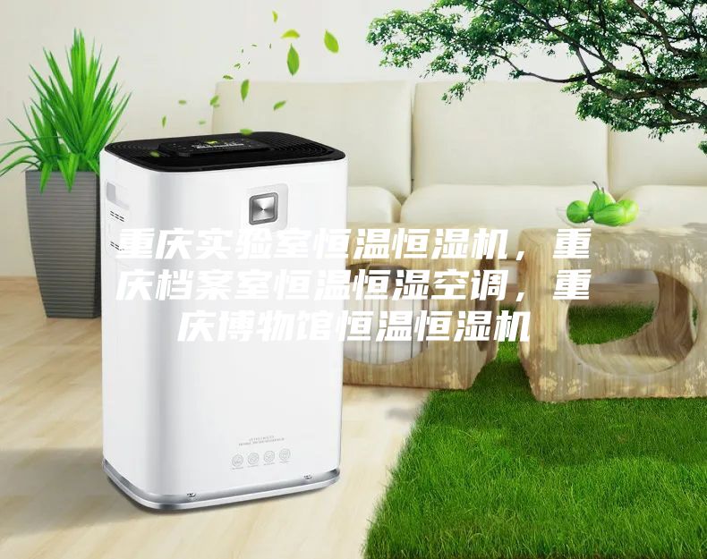 重慶實驗室恒溫恒濕機，重慶檔案室恒溫恒濕空調，重慶博物館恒溫恒濕機