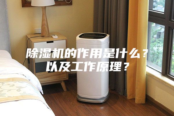 除濕機的作用是什么？以及工作原理？