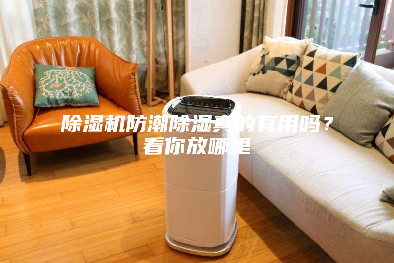 除濕機(jī)防潮除濕真的有用嗎？看你放哪里