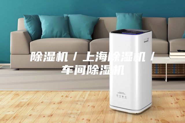 除濕機／上海除濕機／車間除濕機