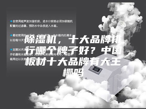 除濕機,十大品牌排行哪個牌子好?中國板材十大品牌有大王椰嗎