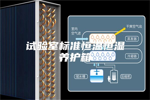 試驗室標準恒溫恒濕養護箱