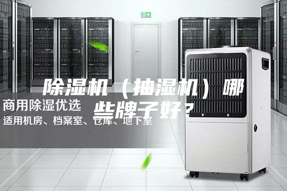 除濕機(抽濕機)哪些牌子好?