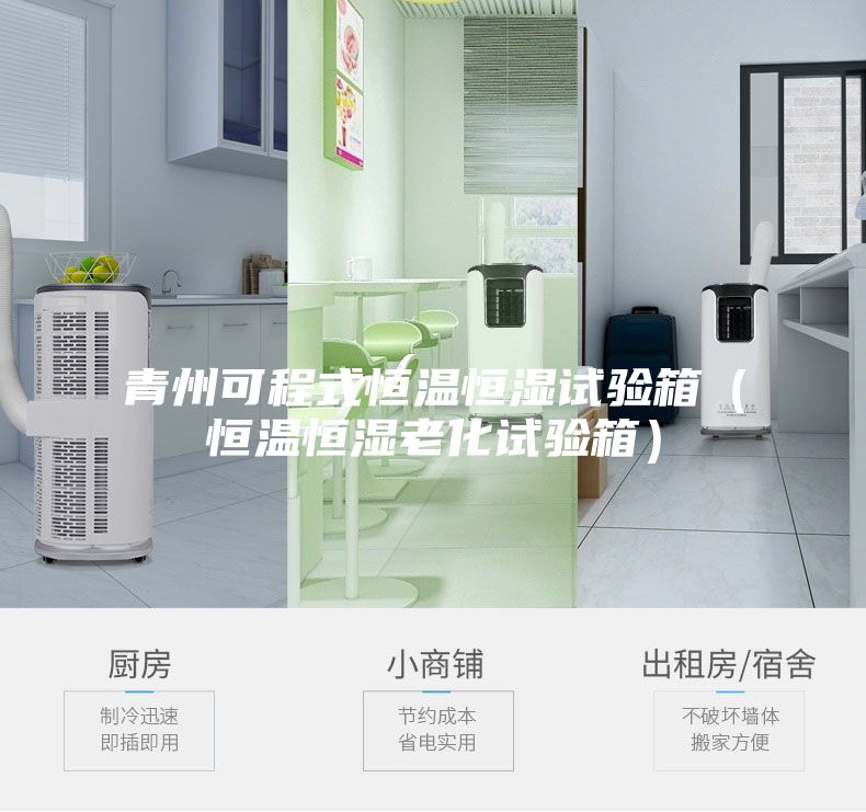 青州可程式恒溫恒濕試驗箱(恒溫恒濕老化試驗箱)