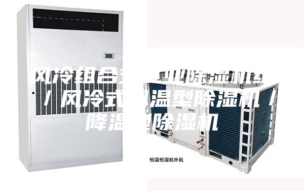 風冷組合式工業除濕機組/風冷式調溫型除濕機/降溫型除濕機