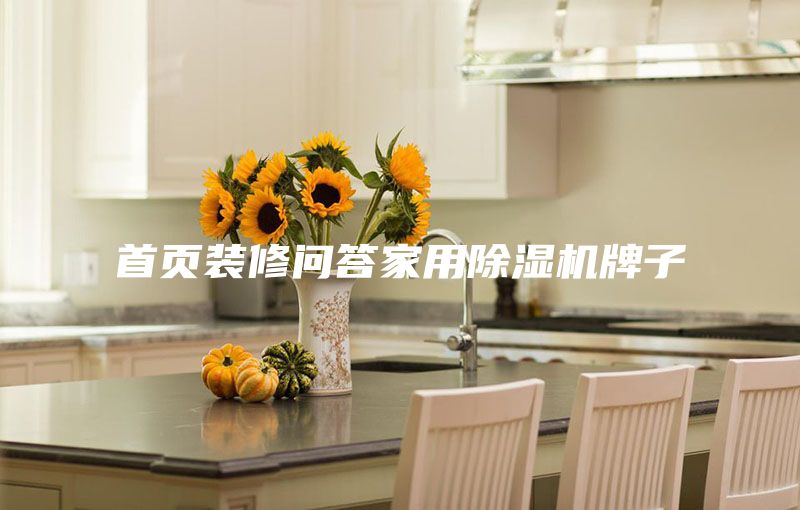 首頁裝修問答家用除濕機牌子