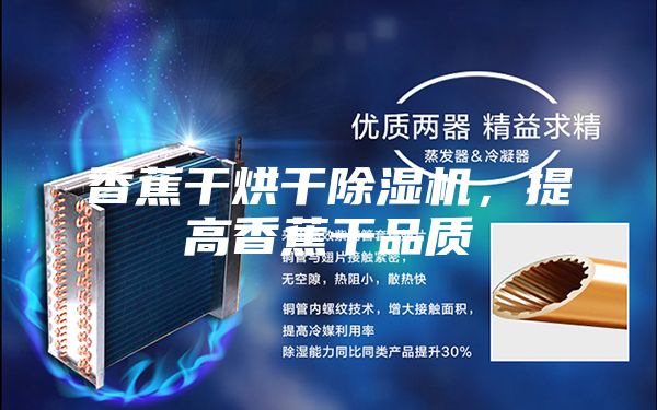 香蕉干烘干除濕機，提高香蕉干品質