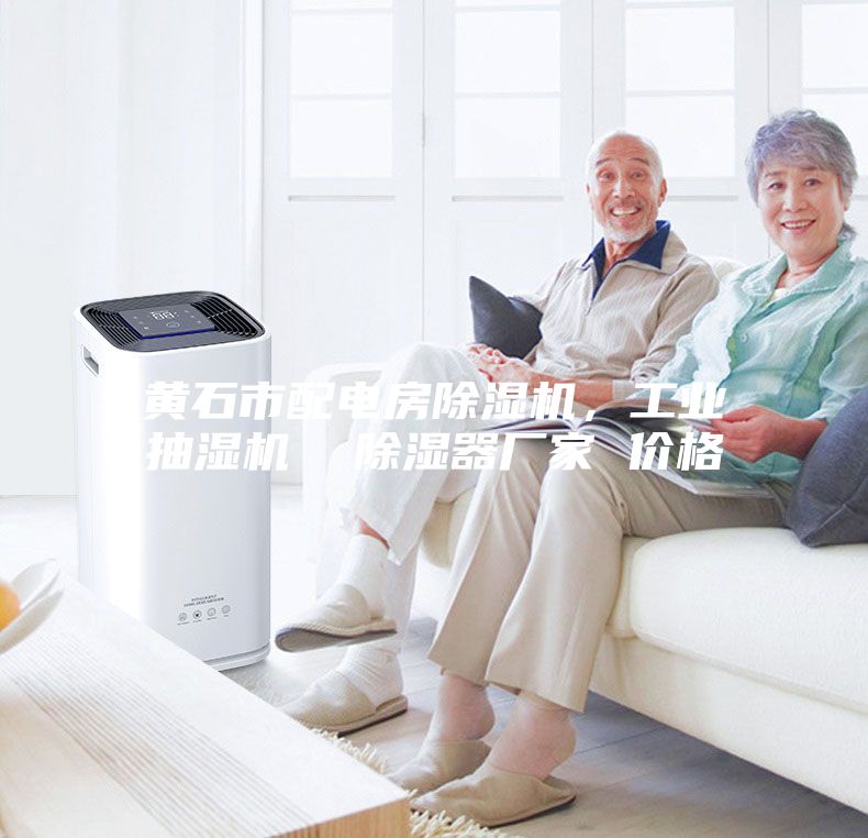 黃石市配電房除濕機，工業抽濕機  除濕器廠家 價格