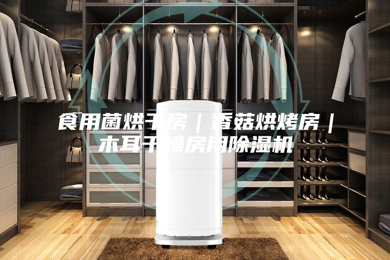 食用菌烘干房|香菇烘烤房|木耳干燥房用除濕機