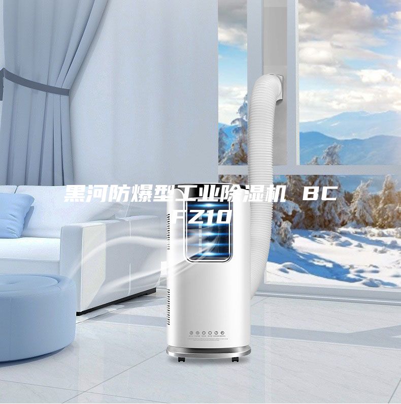 黑河防爆型工業除濕機 BCFZ10