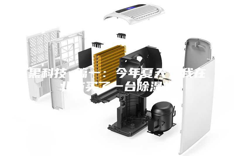 黑科技 篇一：今年夏天，我在北方買了一臺(tái)除濕機(jī)