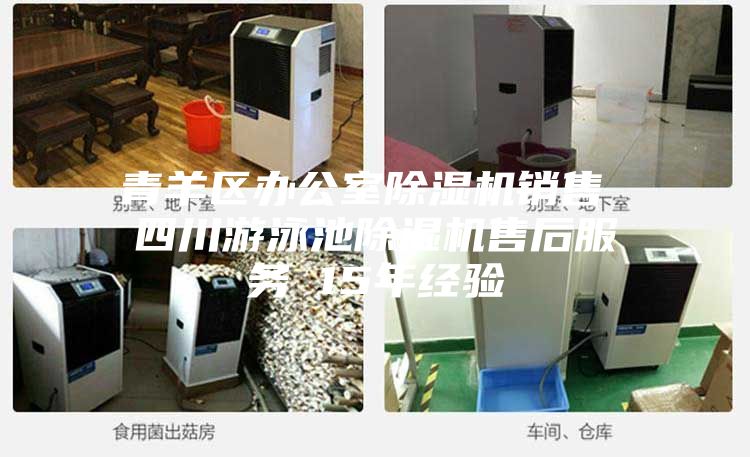 青羊區辦公室除濕機銷售 四川游泳池除濕機售后服務 15年經驗