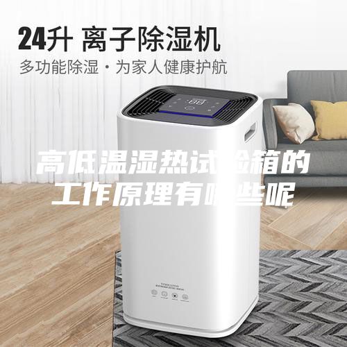高低溫濕熱試驗(yàn)箱的工作原理有哪些呢