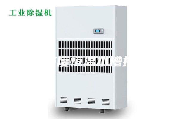 高精度恒溫水槽報價