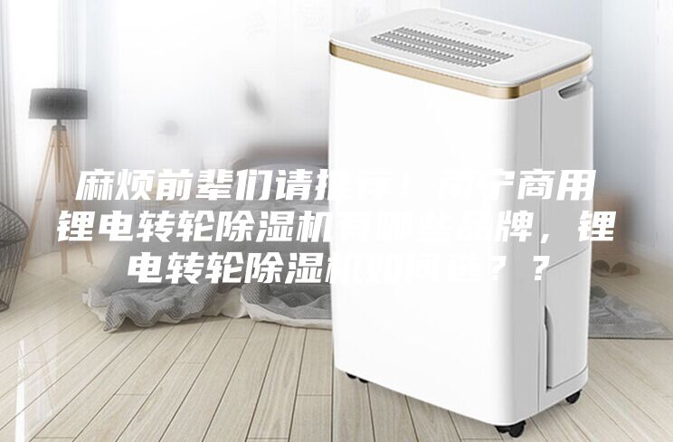 麻煩前輩們請推薦！南寧商用鋰電轉輪除濕機有哪些品牌，鋰電轉輪除濕機如何選？？