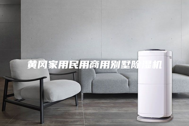 黃岡家用民用商用別墅除濕機