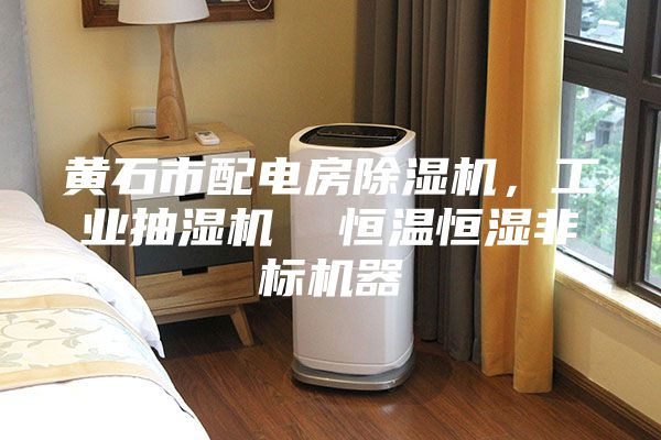 黃石市配電房除濕機，工業抽濕機  恒溫恒濕非標機器